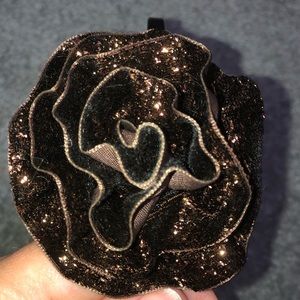 Sparkly brown headband
